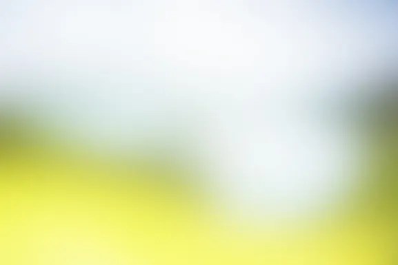 Mint Casino Stuðningur